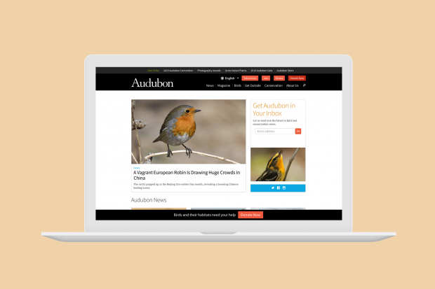 The National Audubon Society | Drupal.org